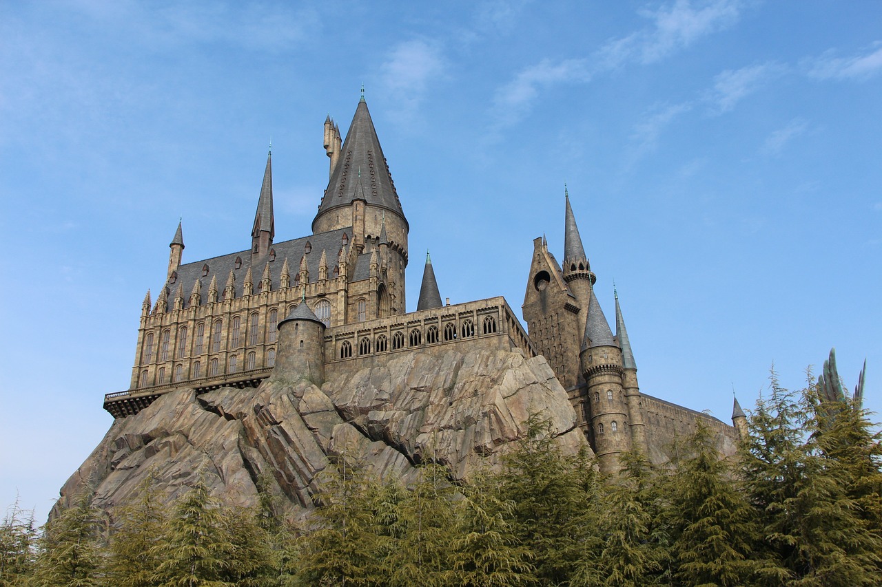 Znajdź oficjalną różdżkę z filmu Harry Potter