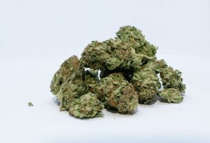 Mity i fakty na temat marihuany
